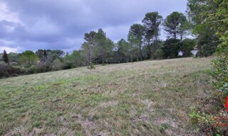 Photo N° 4
