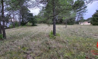 Photo N° 6