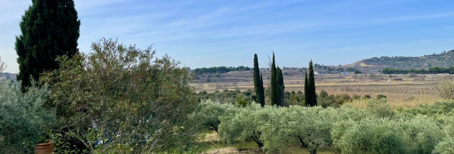 Maison 7 Pièces 270 m² à vendre à Lespignan (34710)