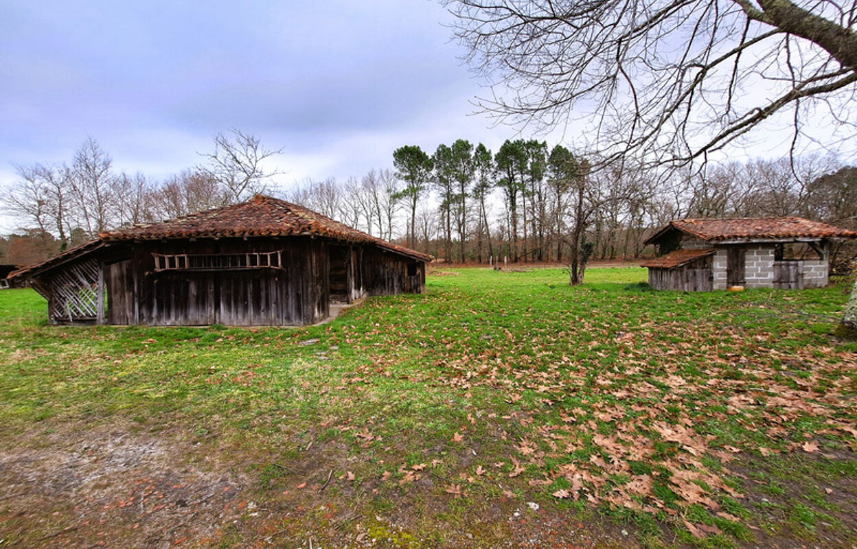 maison 7 pièces 160 m2 à vendre à Luglon (40630)