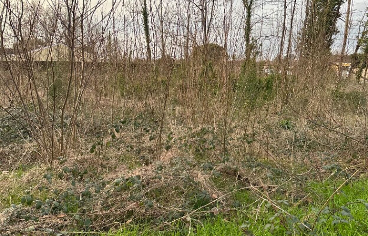 terrain  pièces 1200 m2 à vendre à Saint-Denis-de-Pile (33910)