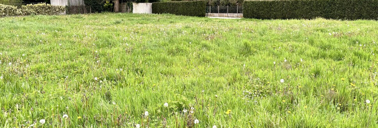 Terrain  1996 m² à vendre à La Guerche-de-Bretagne (35130)