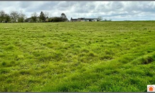 Terrain  5885 m² à vendre à Mer (41500)