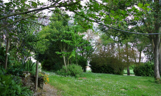 Photo N° 5