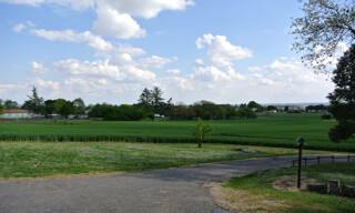 Photo N° 6
