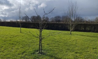 Photo N° 3
