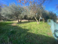 villa plain pied 95m2 ( A RÉNOVER !!), 4 chambres sur 2300 m — photo 4