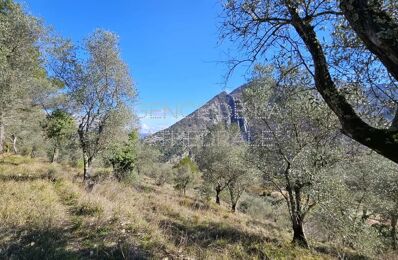 vente terrain 85 000 € à proximité de Castellar (06500)