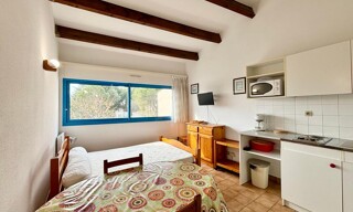 Appartement 1 Pièce 19 m² à vendre à Balaruc-les-Bains (34540)