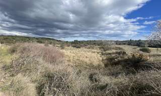 Terrain  6683 m² à vendre à Loupian (34140)