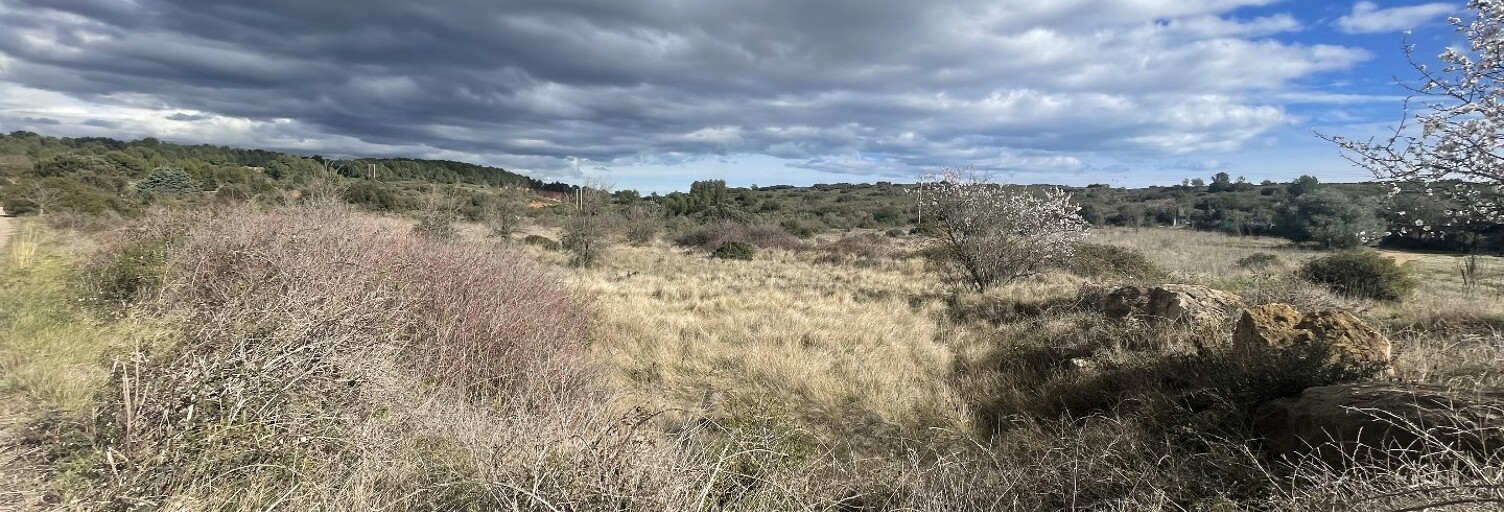 Terrain  6683 m² à vendre à Loupian (34140)