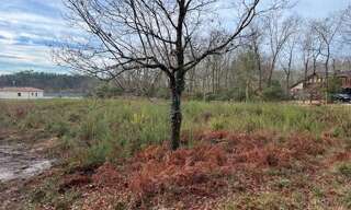 Terrain  1348 m² à vendre à Gourbera (40990)