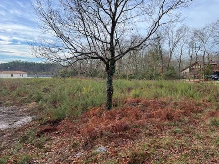 10 mn de dax terrain constructible Gourbera — photo 1