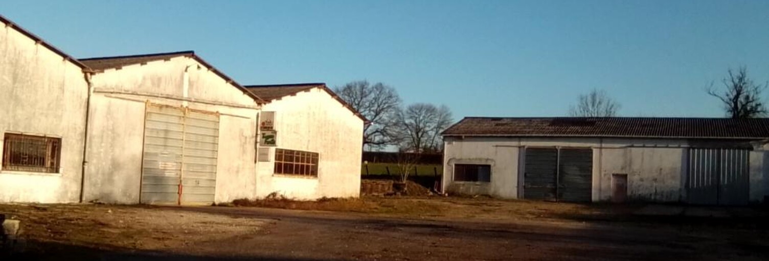 Maison 5 Pièces 150 m² à vendre à Breuvannes-en-Bassigny (52240)