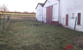Photo N° 4