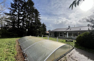 BORDEAUX VILLENAVE D'ORNON - MAISON DE PLAIN PIED AVEC PISCI — photo du bien