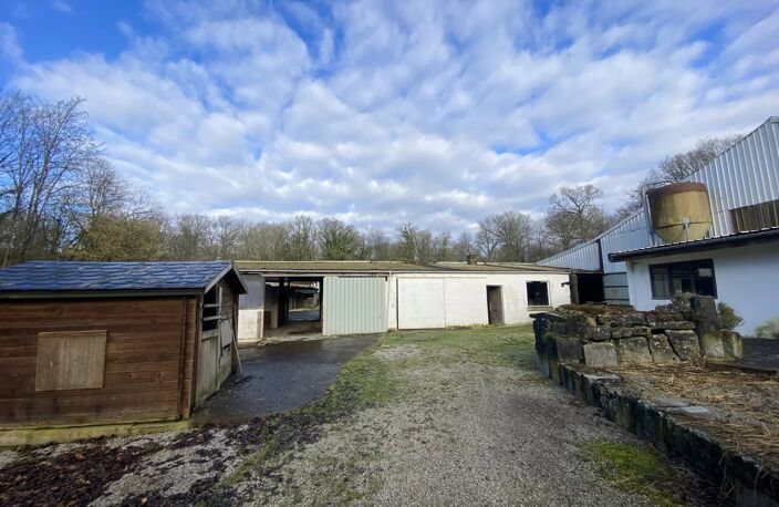 SUPERBE PROPRIETE SUR 8 HECTARES AVEC CENTRE EQUESTRE — photo 2