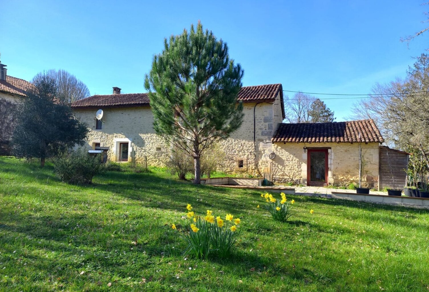 Propriété — photo 1
