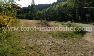 Photo N° 4