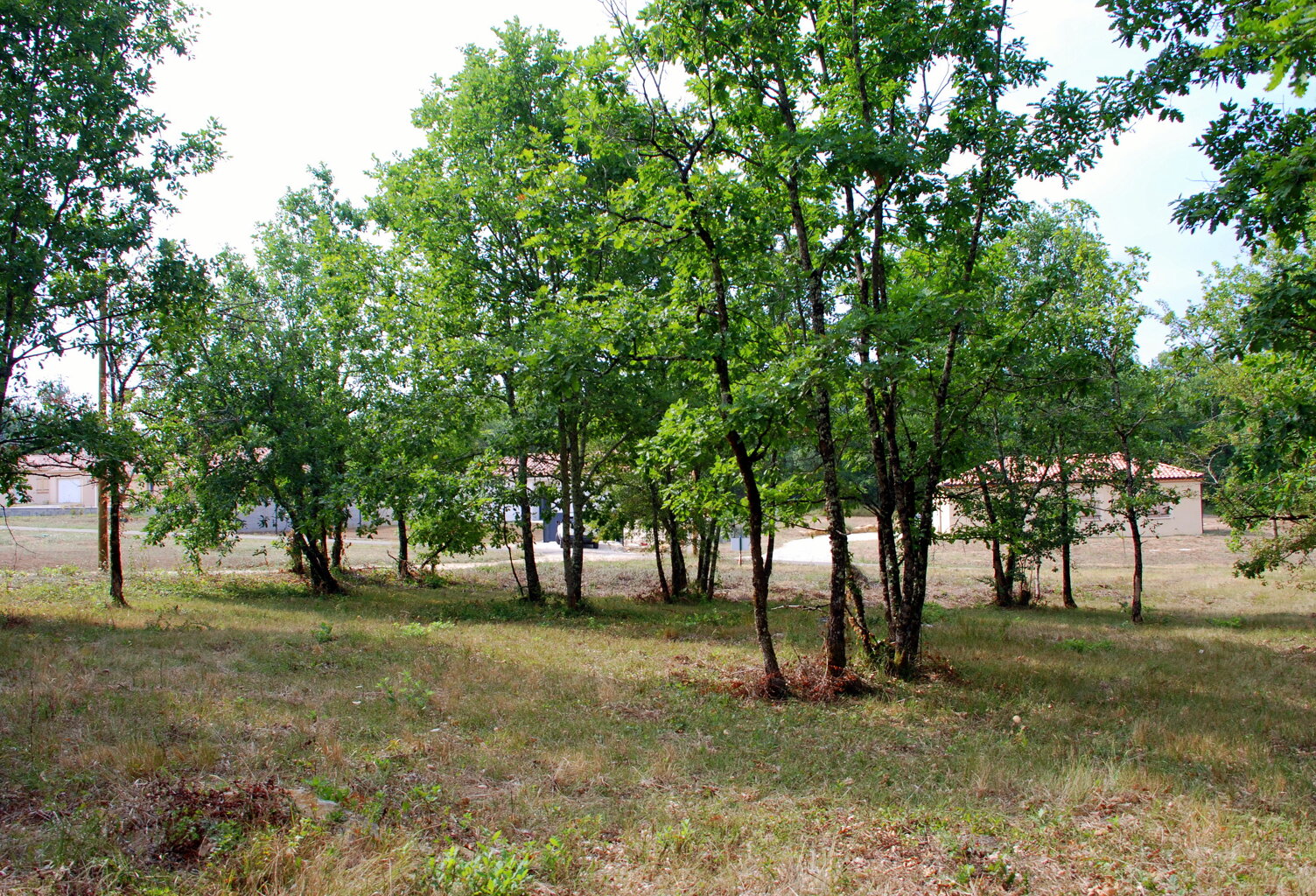 Terrain 0 m² — photo 1