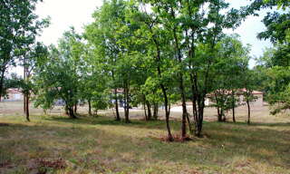 Terrain   m² à vendre à Montdoumerc (46230)