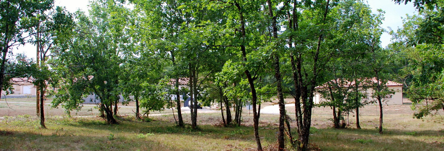 Terrain   m² à vendre à Montdoumerc (46230)