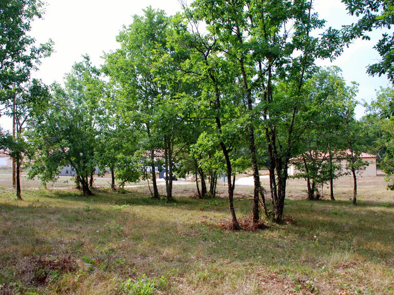 Terrain 0 m² — photo 1
