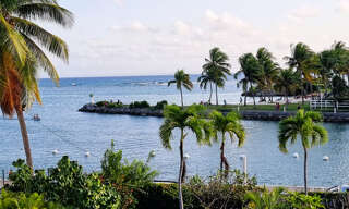 Appartement 1 Pièce 56 m² à vendre à Saint-François (97118)