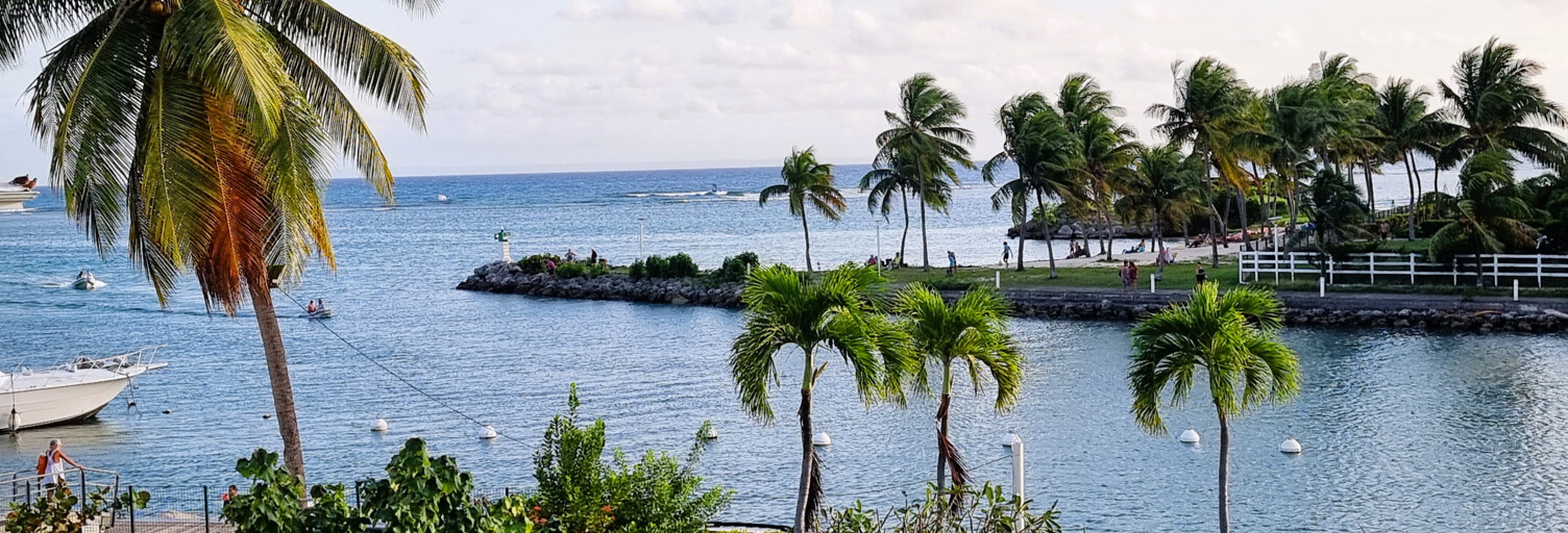 Appartement 1 Pièce 56 m² à vendre à Saint-François (97118)