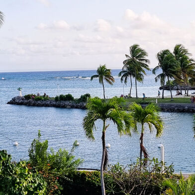 Appartement 1 pièces 250000 €