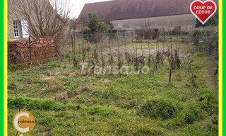 Photo N° 6