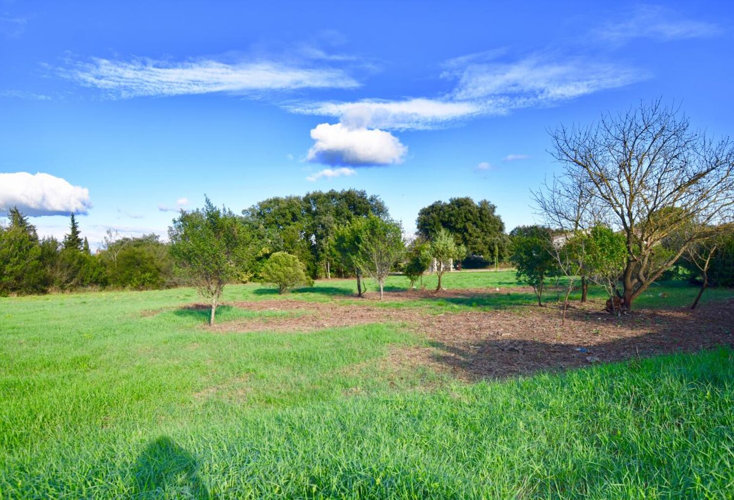 Terrain constructible 1550 m2 — photo 1