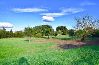 Terrain  195900 €
