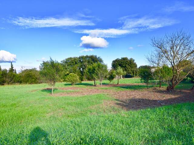 Terrain constructible 1550 m2 — photo du bien