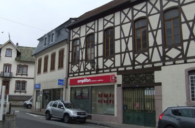 vente immeuble 465 100 € à proximité de Bischoffsheim (67870)