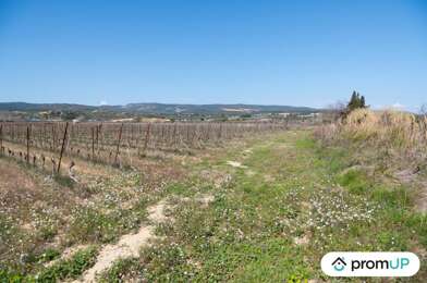 Terrain  59000 €