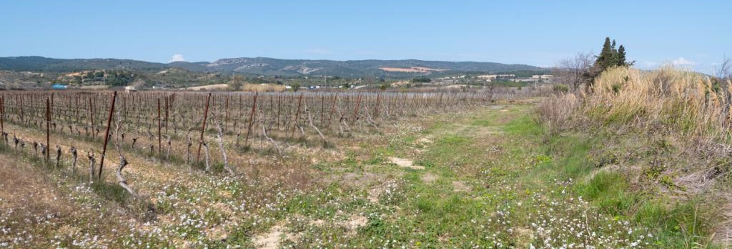 Terrain  41115 m² à vendre à Peyriac-de-Mer (11440)