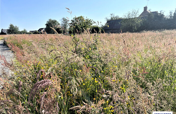 A VENDRE Terrain Constructible Viabilisé de 322 m² à Mondevert - 30 904  HAI — photo 2