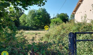 Photo N° 5