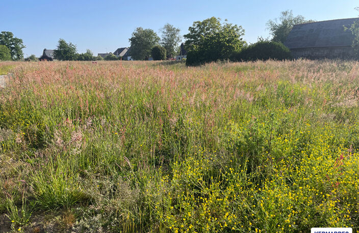 A VENDRE Terrain Constructible Viabilisé de 653 m² à Mondevert - 66 076  HAI — photo 4