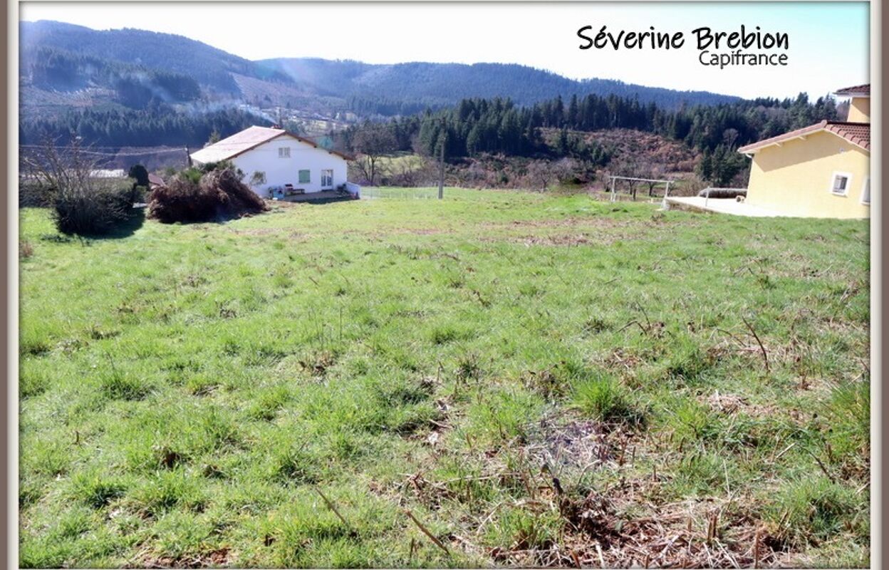 terrain  pièces 1580 m2 à vendre à Chabreloche (63250)