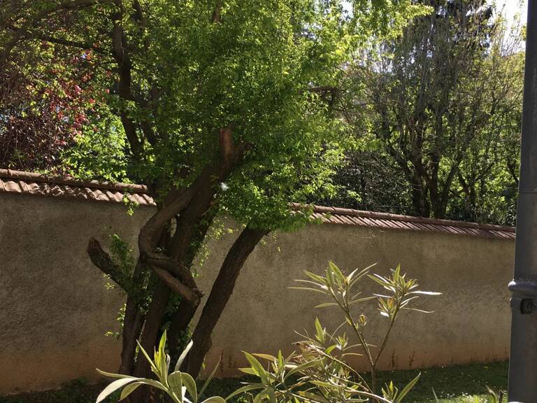 LYON 3è - Appartement T2 36 m² avec terrasse et parking — photo 1