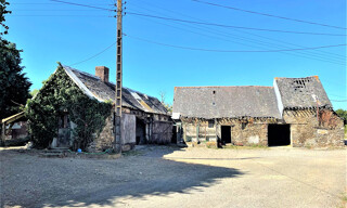 Photo N° 6