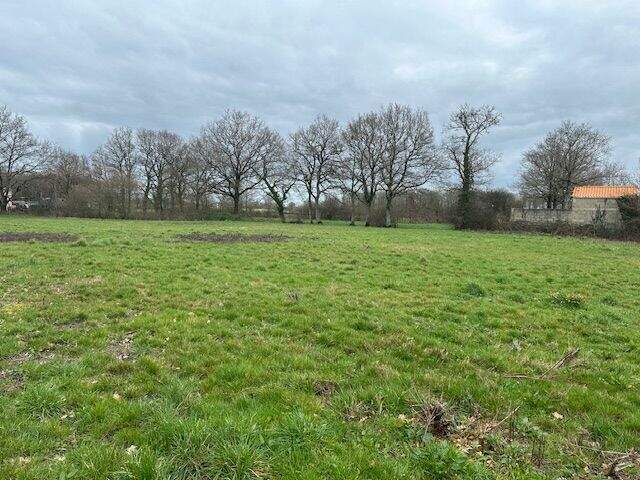 Terrain À Vendre — photo du bien