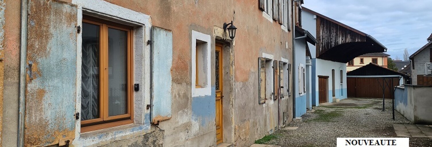 Maison 8 Pièces 246 m² à vendre à Brunstatt-Didenheim (68350)