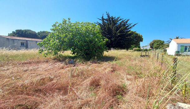 Terrain  à vendre Saint-Pierre-d'Oléron 17310