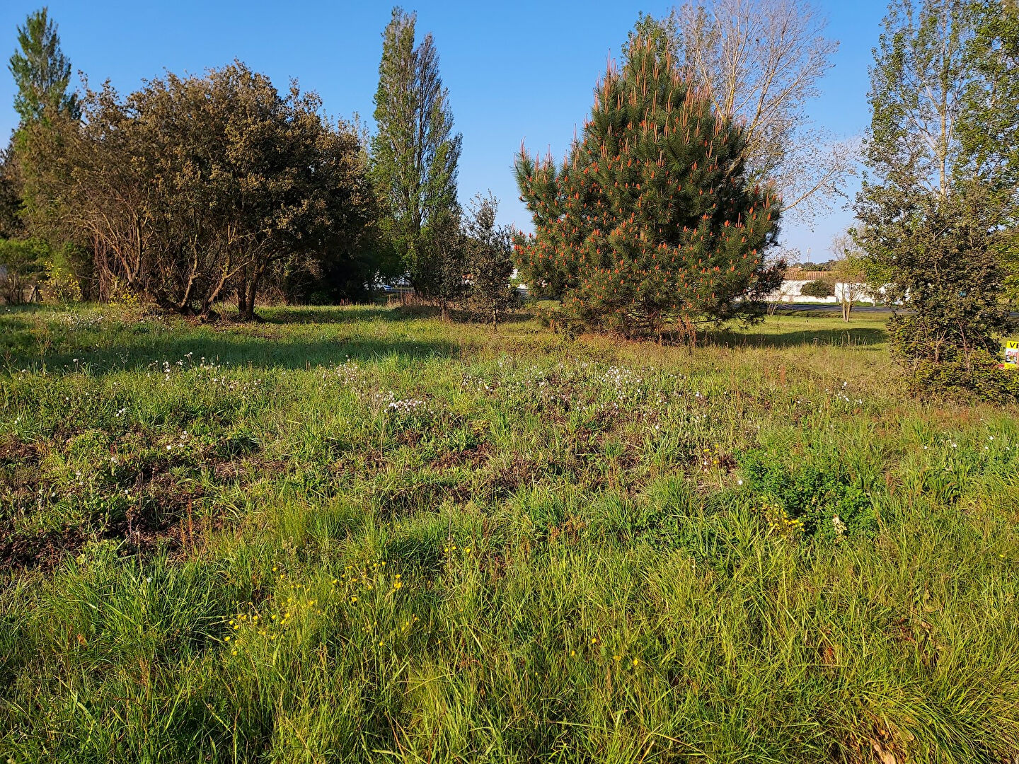 Terrain  à vendre Grand-Village-Plage (Le) 17370