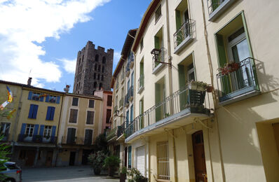 vente appartement 139 000 € à proximité de Prats-de-Mollo-la-Preste (66230)