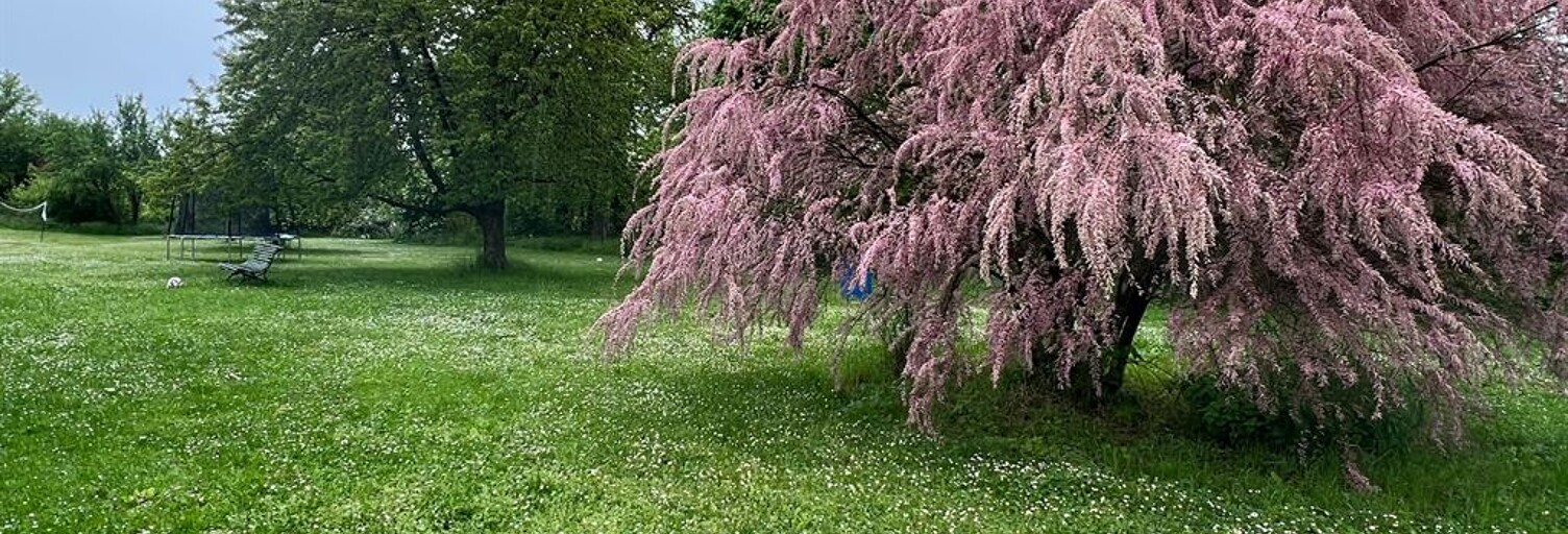 Terrain  1991 m² à vendre à Bazancourt (51110)