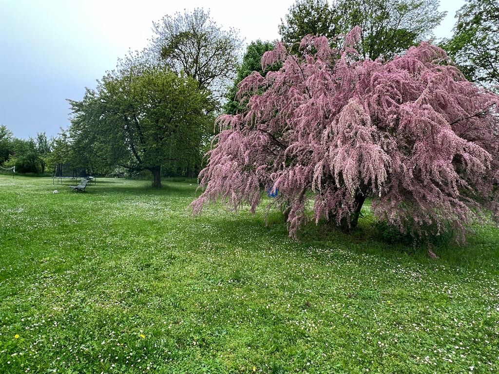 Terrain  à vendre Bazancourt 51110